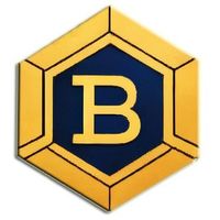 Bitbock coin