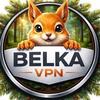 Belka VPN