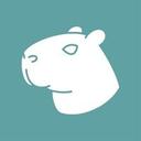 Capybara VPN