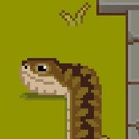 Cusy snake