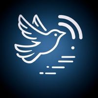 Freedom Telegram Proxy