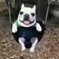 Индианыч