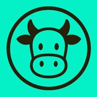 Mucca