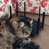 openwrt_builder