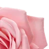 Эмодзи ︵ . 𝐀𝐦𝐲 𝐑𝐨𝐬𝐞 ┆