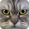 Эмодзи Animals6