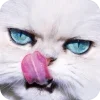 Эмодзи Animals6