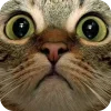 Эмодзи Animals6