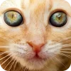 Эмодзи Animals6