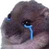 Эмодзи Animals Emoji Pack