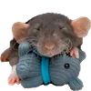 Эмодзи Animals Emoji Pack