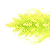 Золотистый шрифт