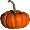 Fall Season