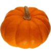 Эмодзи Fall Season