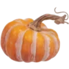 Эмодзи Fall Season
