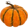 Эмодзи Fall Season