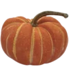 Эмодзи Fall Season