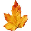 Эмодзи Autumn