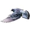 Эмодзи Голуби