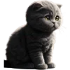 Эмодзи Черный котенок