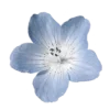 Эмодзи blue dividers