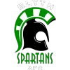 BSAFC