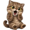 Brown cat