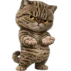 Эмодзи Brown cat