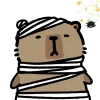 Capybara