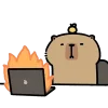 Эмодзи Capybara