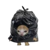 Эмодзи Cat on food