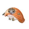 Эмодзи Cat on food