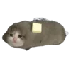 Эмодзи Cat on food