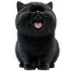 Эмодзи Угрюмый кот