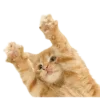 Эмодзи котейки