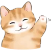 Котики