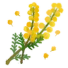 Эмодзи Cats
