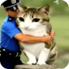 Эмодзи Мяовл