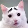 Эмодзи котики
