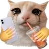 Эмодзи Cats