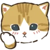 Эмодзи Cats