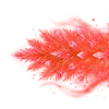 Шрифт