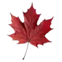 Эмодзи Crimson Autumn