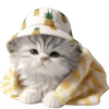 Эмодзи Котик в шляпе ананасе