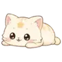Cute cat funny daily