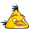 Эмодзи 🐷 Angri Bird 🐷