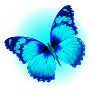 Cyan