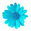 Эмодзи Cyan