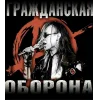 Егор Летов