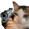 With guns